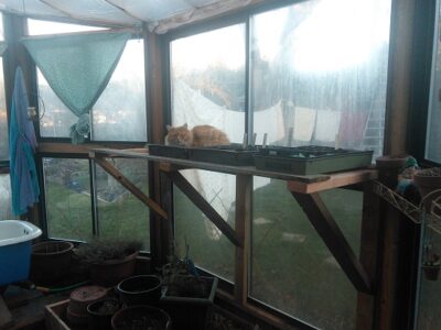 Stacking Functions in the Greenhouse Image